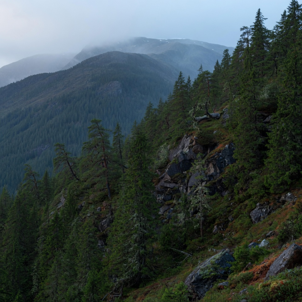 Run multiple agents without chaos